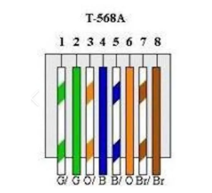 T568A