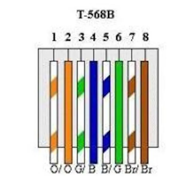 T568B